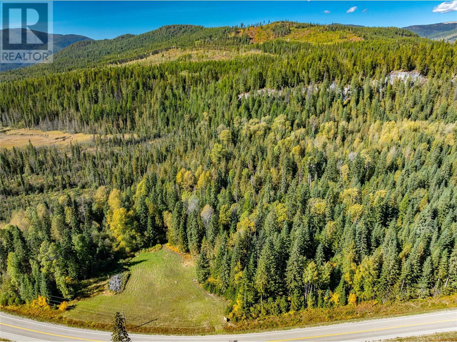 9848 6 Highway, Salmo, British Columbia  V0G 1Z0 - Photo 4 - 10347810