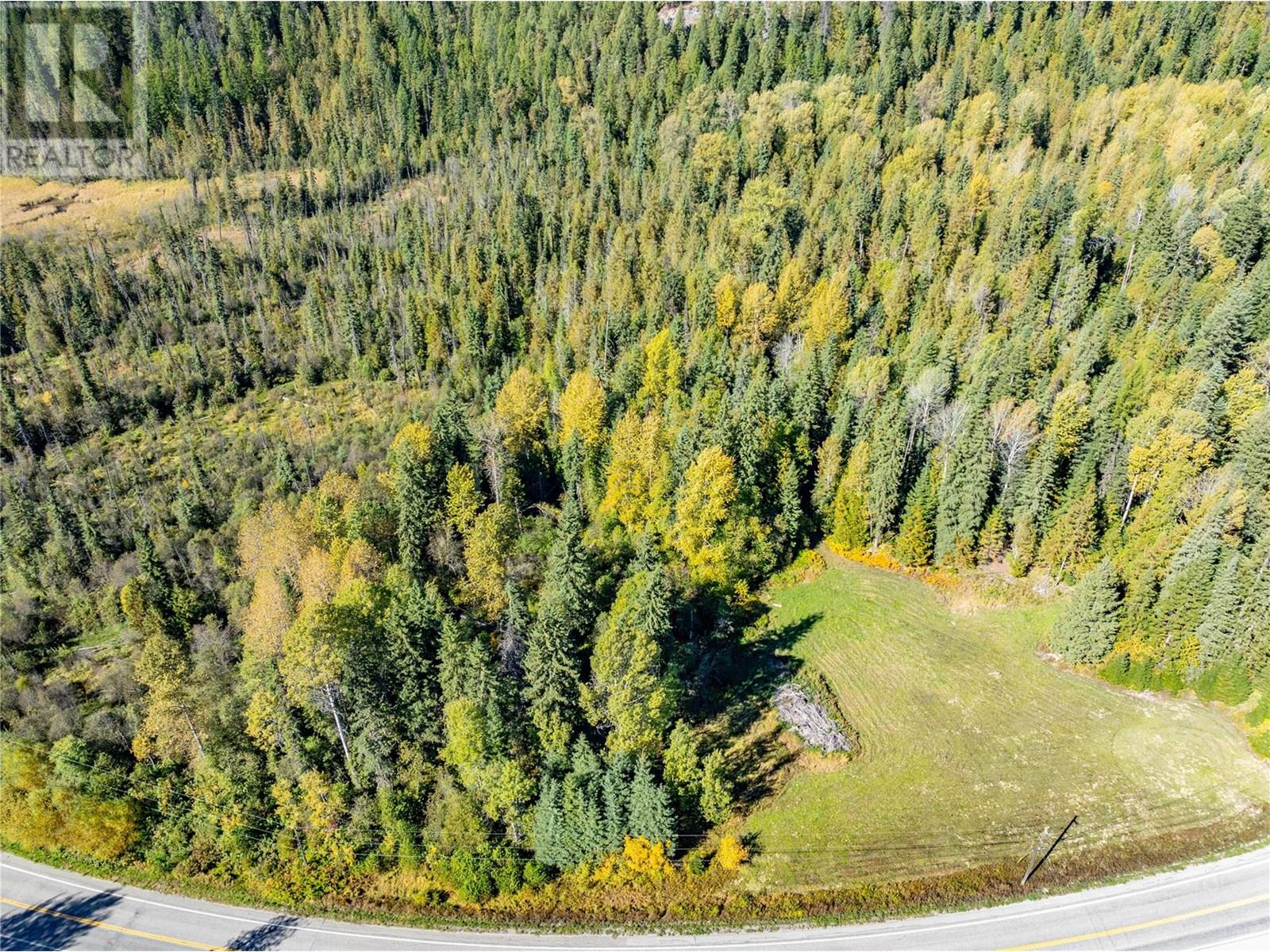 9848 6 Highway, Salmo, British Columbia  V0G 1Z0 - Photo 5 - 10347810