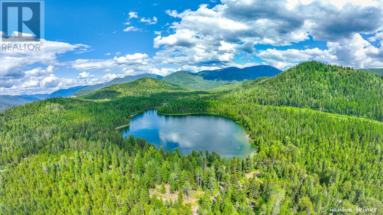 9848 6 Highway, Salmo, British Columbia  V0G 1Z0 - Photo 53 - 10347810