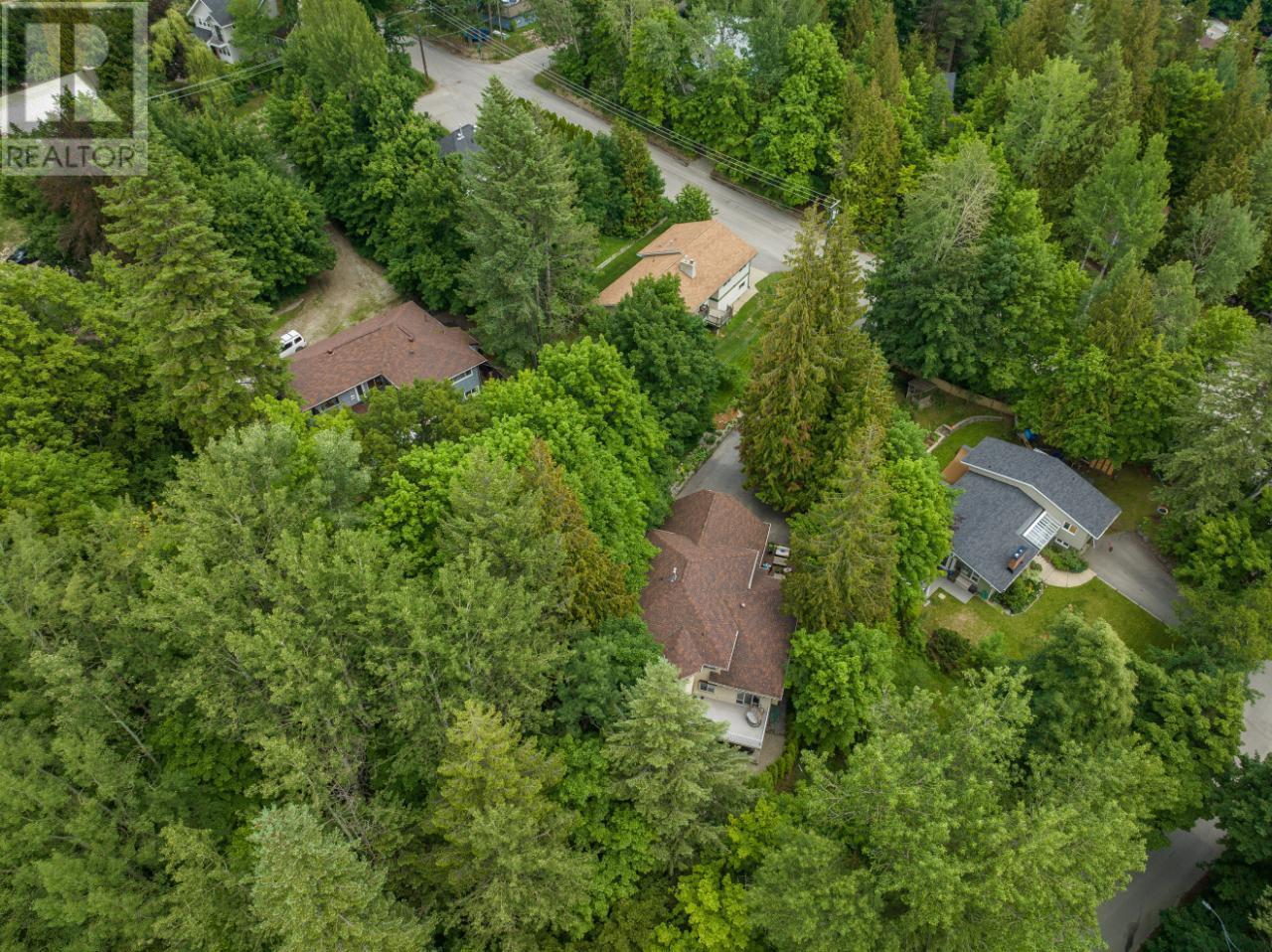 1611 Park Street, Rossland, British Columbia  V0G 1Y0 - Photo 89 - 10350597