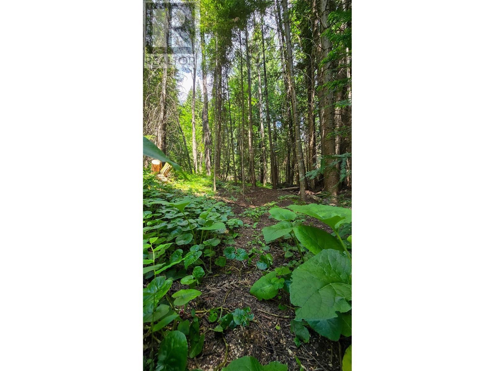 926 Wildhorse Creek Road, Ymir, British Columbia  V0G 2K0 - Photo 50 - 10350606