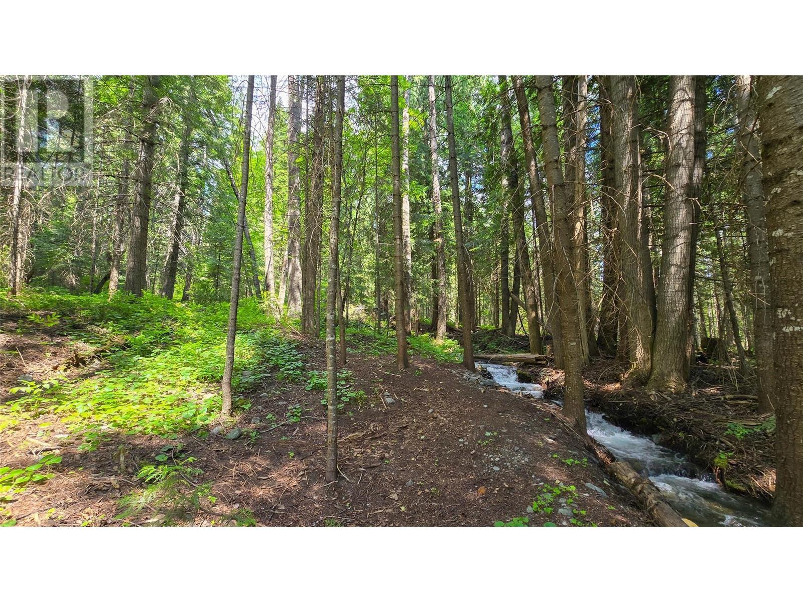 926 Wildhorse Creek Road, Ymir, British Columbia  V0G 2K0 - Photo 51 - 10350606