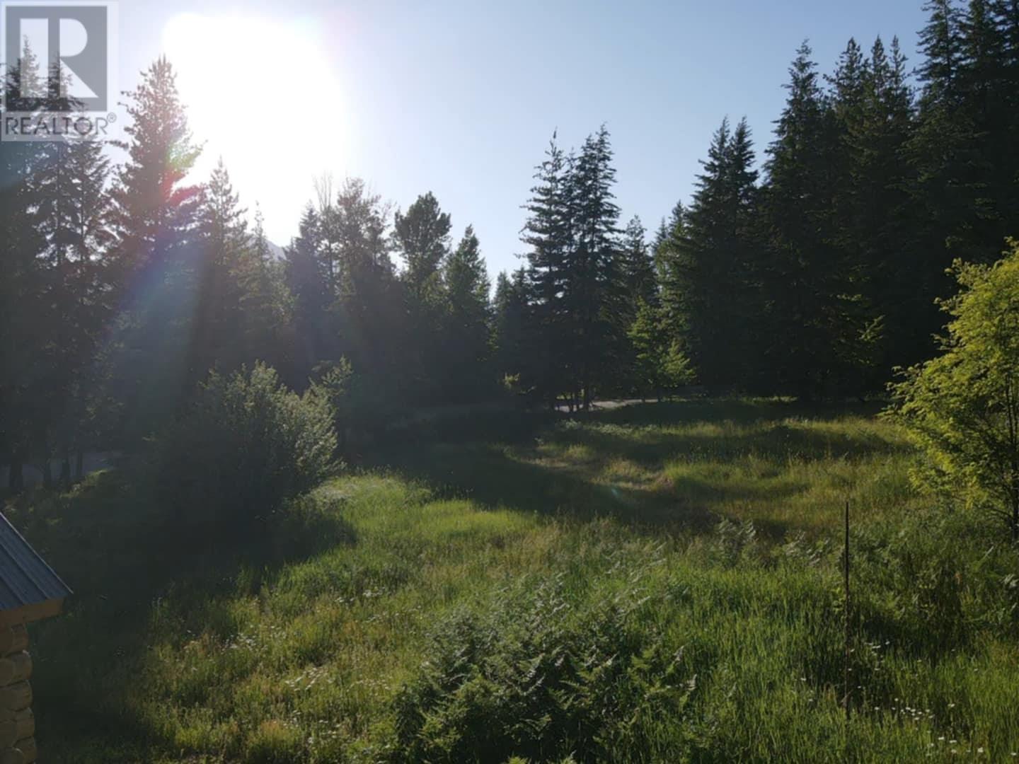 1341 Highway 31a, New Denver, British Columbia  V0G 1S1 - Photo 16 - 10351039