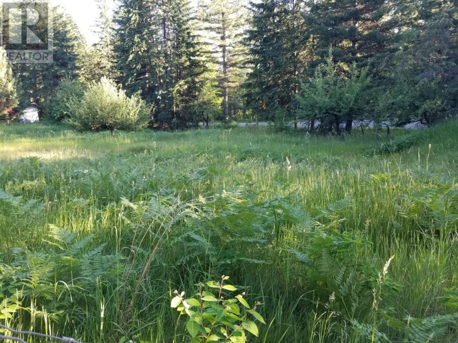 1341 Highway 31a, New Denver, British Columbia  V0G 1S1 - Photo 33 - 10351039