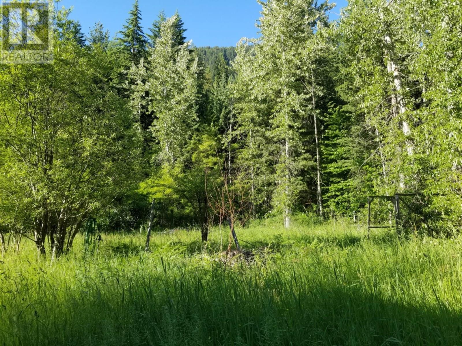 1341 Highway 31a, New Denver, British Columbia  V0G 1S1 - Photo 40 - 10351039