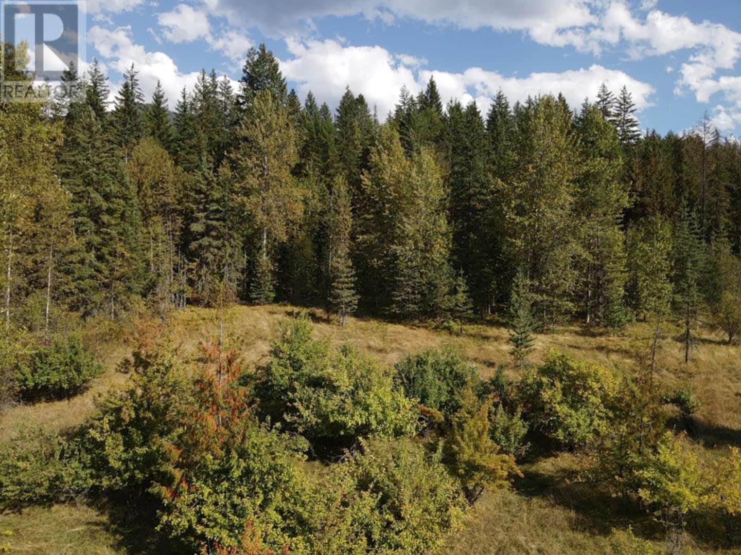 Lot 4 Alexander Road, Nakusp, British Columbia  V0G 1R1 - Photo 3 - 10351230