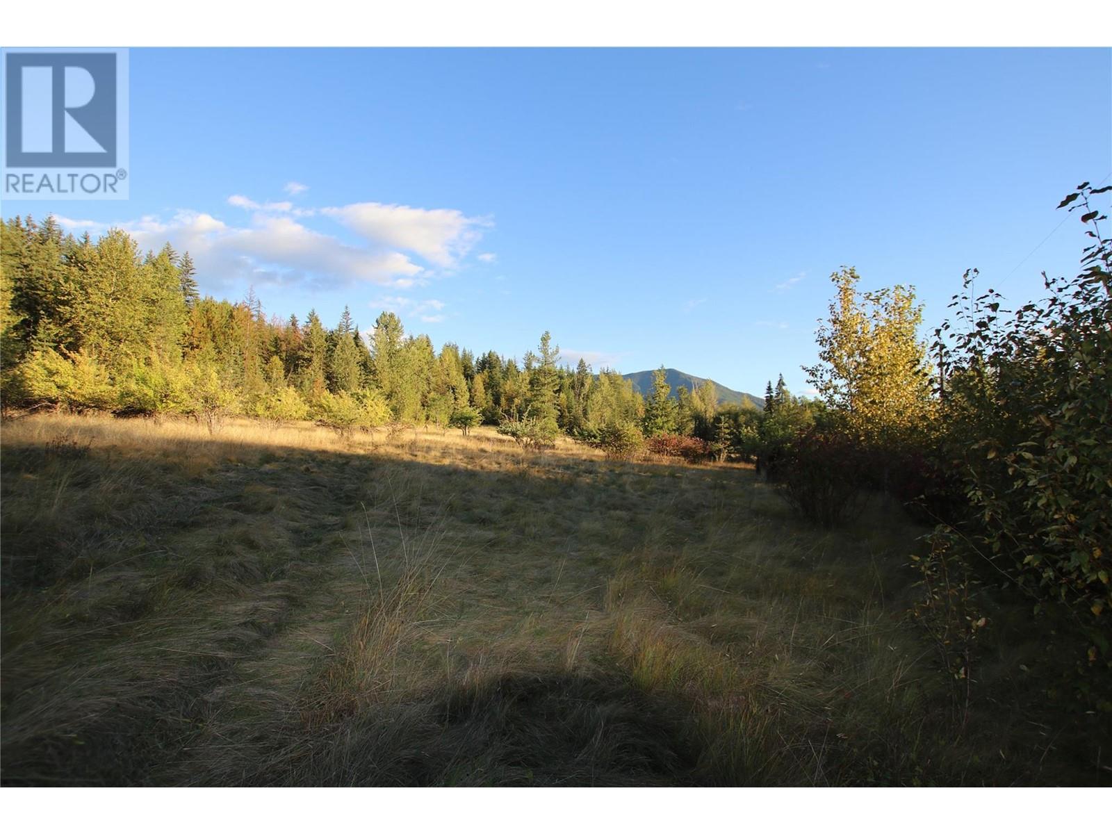 Lot 4 Alexander Road, Nakusp, British Columbia  V0G 1R1 - Photo 4 - 10351230