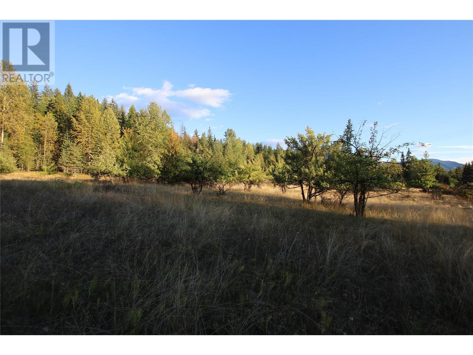 Lot 4 Alexander Road, Nakusp, British Columbia  V0G 1R1 - Photo 7 - 10351230
