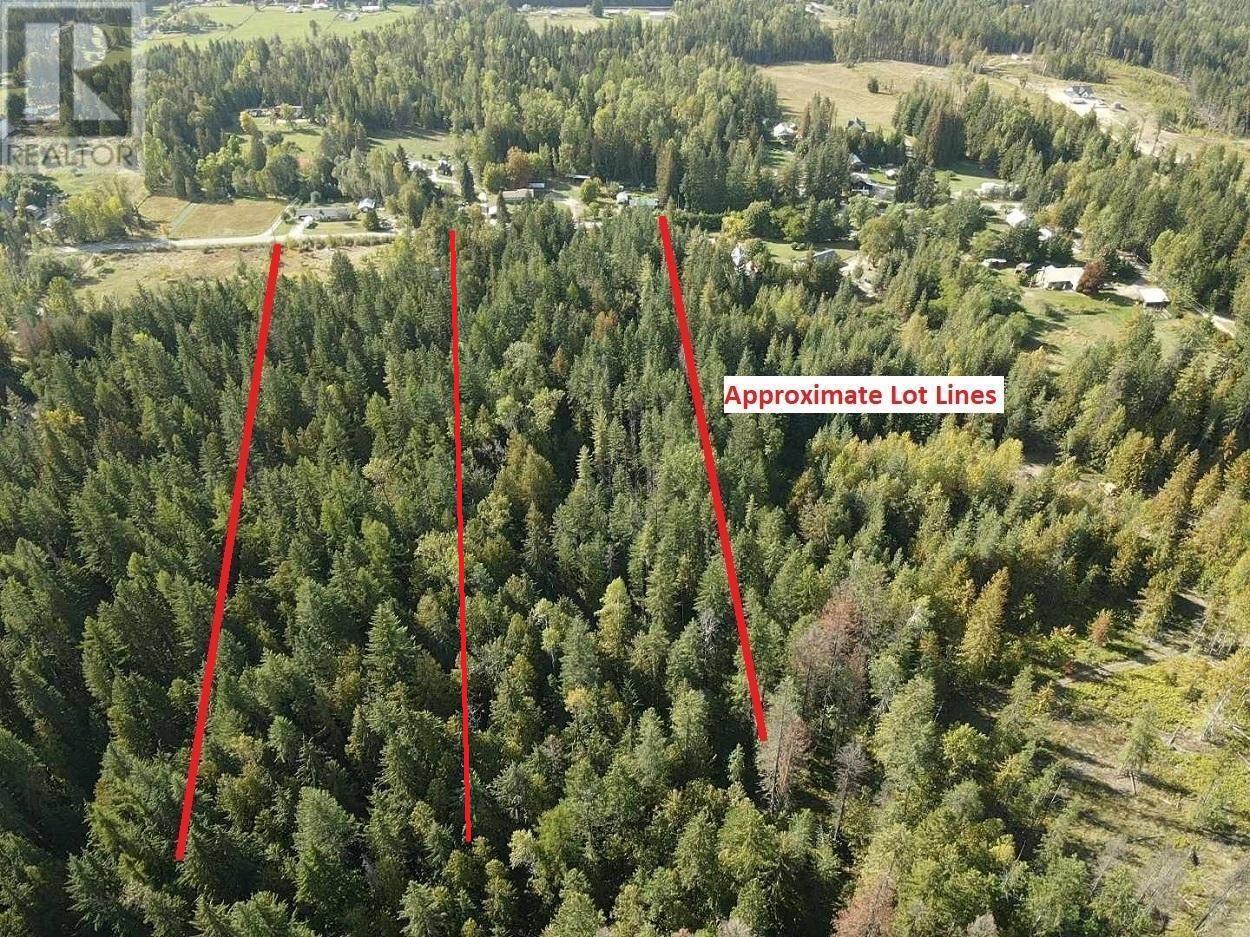 Lot 4 Alexander Road, Nakusp, British Columbia  V0G 1R1 - Photo 9 - 10351230