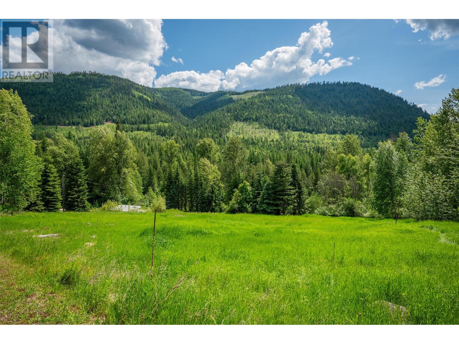 125 Beavervale Road, Ross Spur, British Columbia  V0G 1L1 - Photo 61 - 10351040