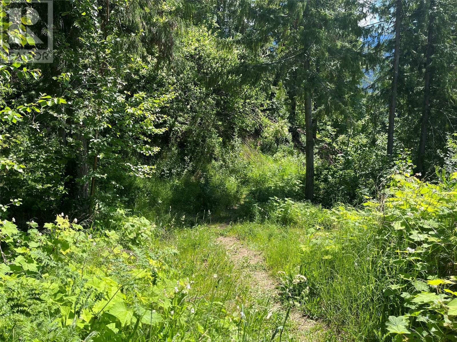 242 9th Street, Kaslo, British Columbia  V0G 1M0 - Photo 25 - 10350911
