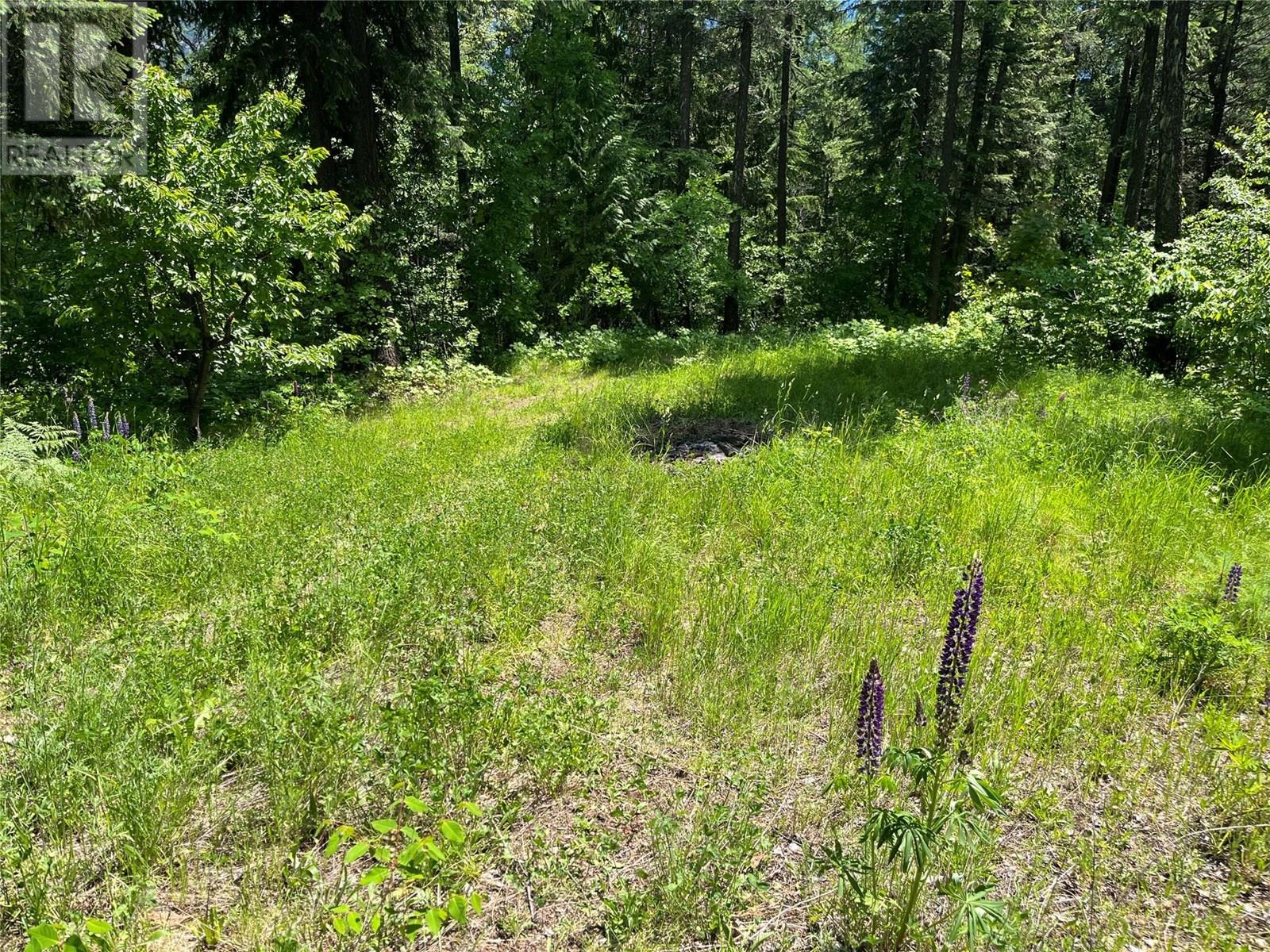 242 9th Street, Kaslo, British Columbia  V0G 1M0 - Photo 35 - 10350911