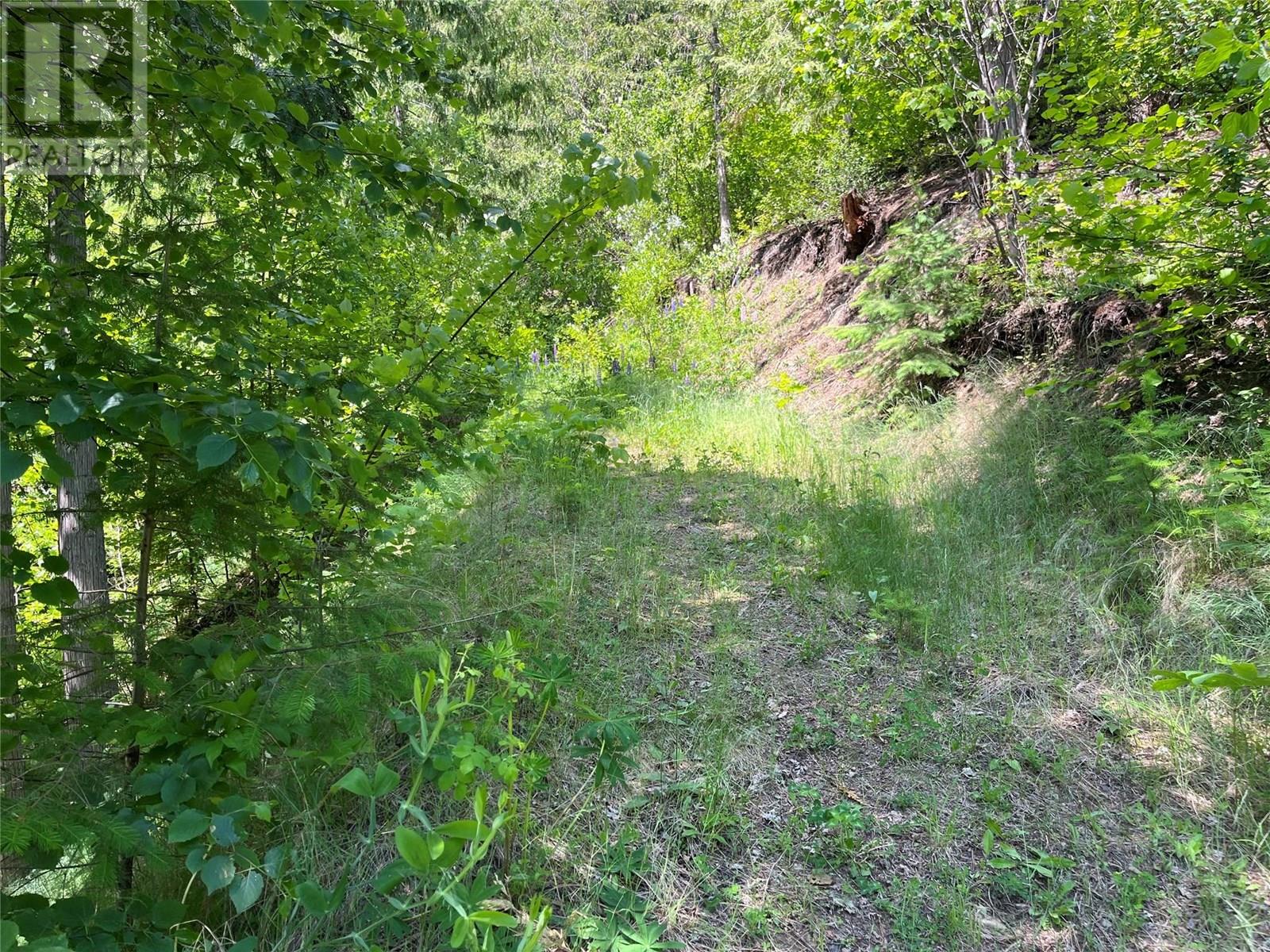 242 9th Street, Kaslo, British Columbia  V0G 1M0 - Photo 36 - 10350911