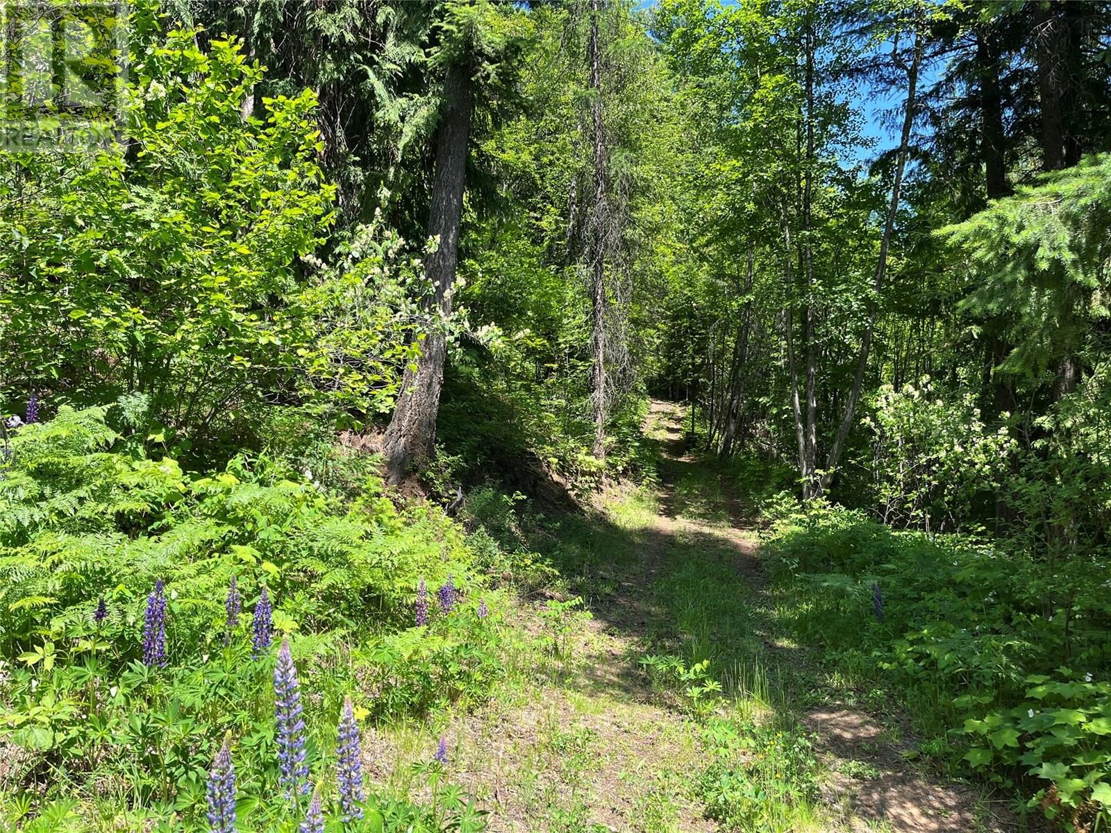 242 9th Street, Kaslo, British Columbia  V0G 1M0 - Photo 37 - 10350911