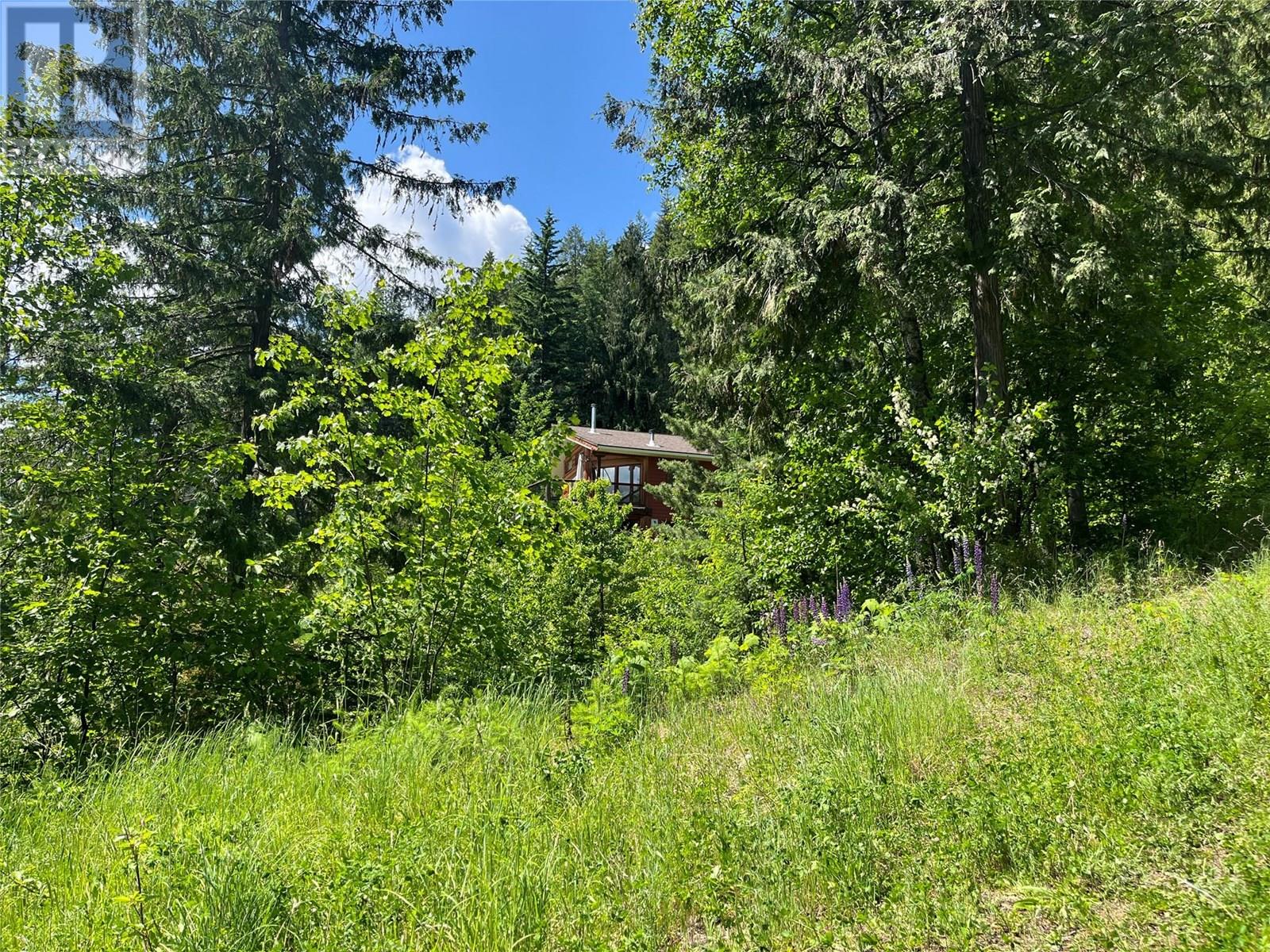 242 9th Street, Kaslo, British Columbia  V0G 1M0 - Photo 38 - 10350911