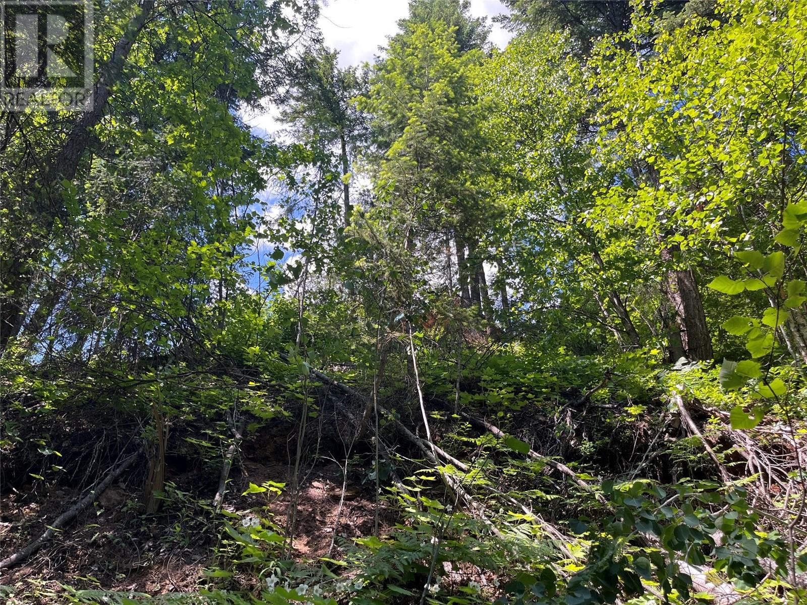 242 9th Street, Kaslo, British Columbia  V0G 1M0 - Photo 39 - 10350911