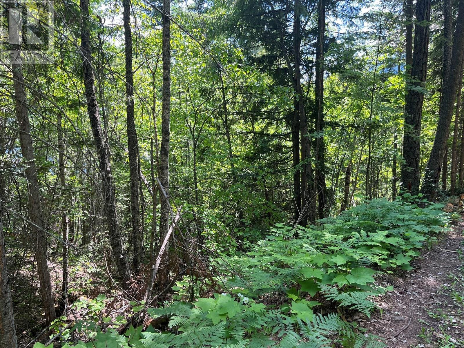 242 9th Street, Kaslo, British Columbia  V0G 1M0 - Photo 40 - 10350911