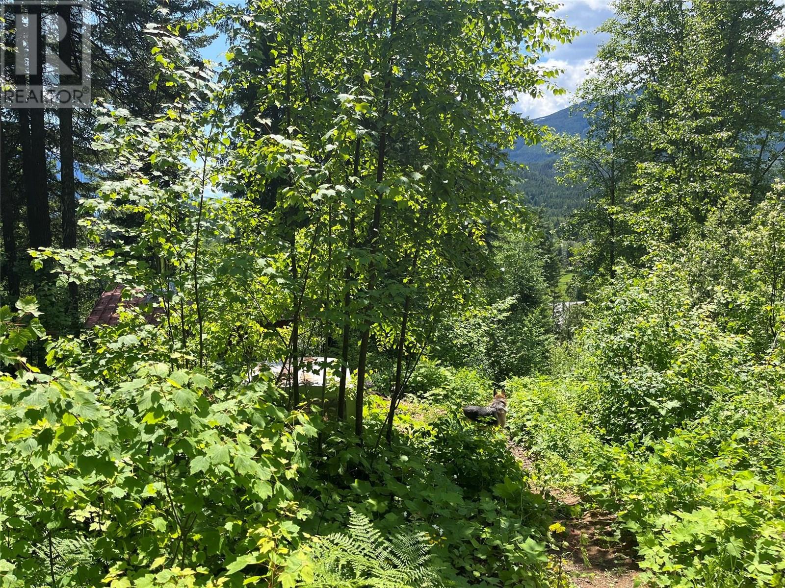 242 9th Street, Kaslo, British Columbia  V0G 1M0 - Photo 41 - 10350911