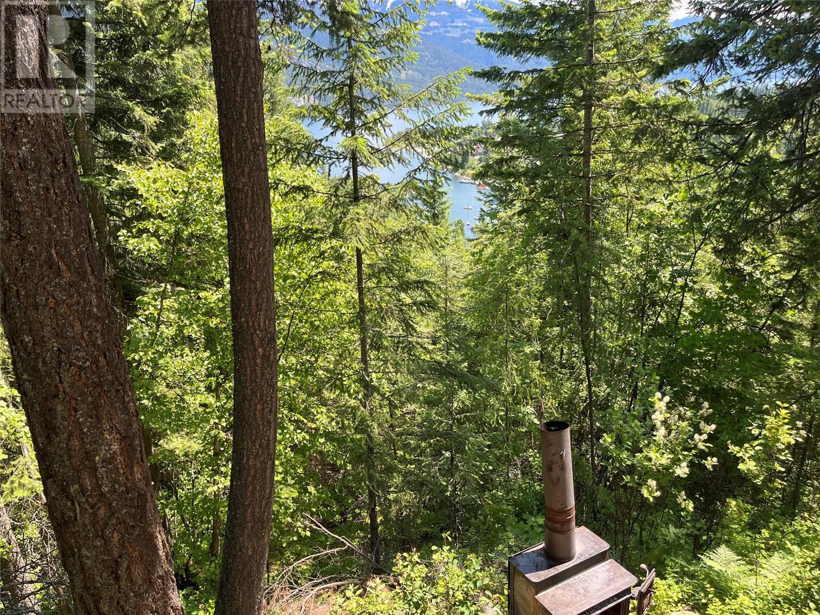 242 9th Street, Kaslo, British Columbia  V0G 1M0 - Photo 44 - 10350911