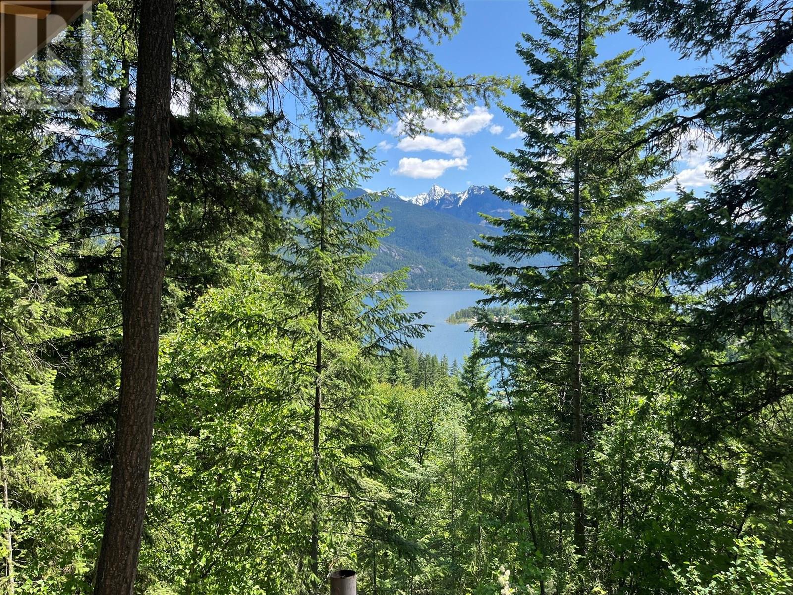 242 9th Street, Kaslo, British Columbia  V0G 1M0 - Photo 45 - 10350911