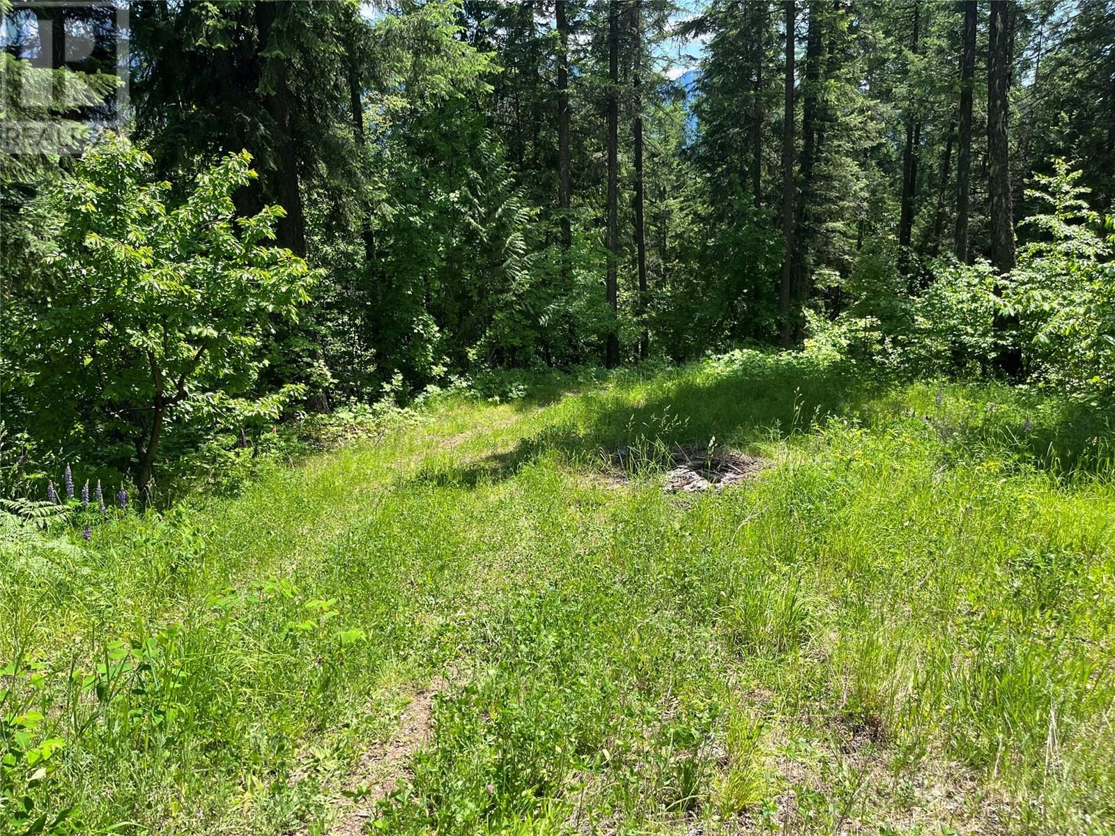 242 9th Street, Kaslo, British Columbia  V0G 1M0 - Photo 48 - 10350911