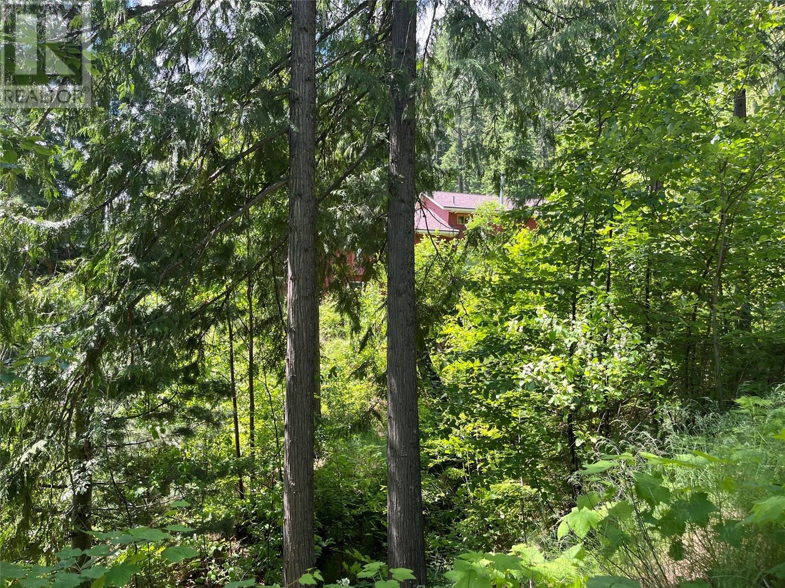 242 9th Street, Kaslo, British Columbia  V0G 1M0 - Photo 50 - 10350911