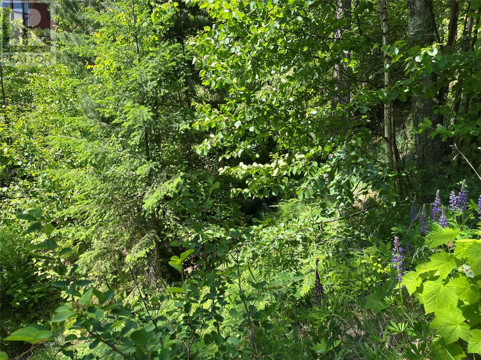 242 9th Street, Kaslo, British Columbia  V0G 1M0 - Photo 51 - 10350911