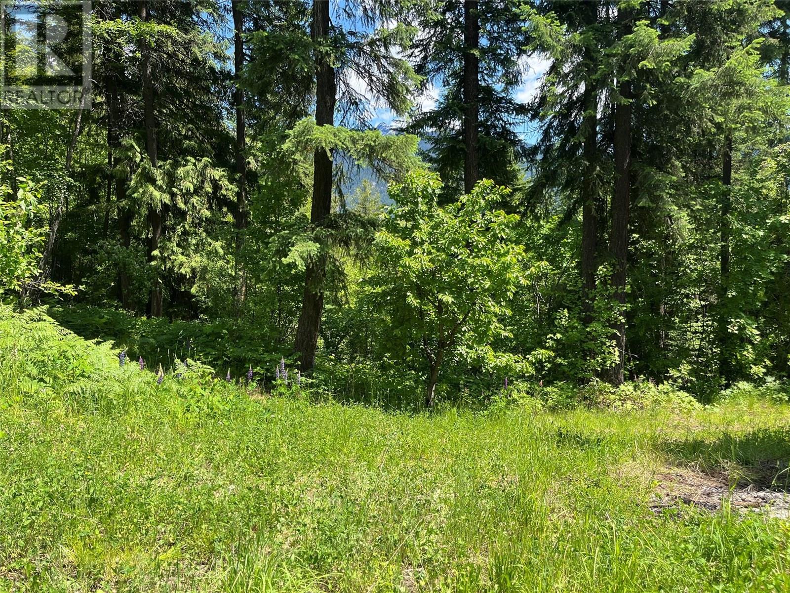 242 9th Street, Kaslo, British Columbia  V0G 1M0 - Photo 52 - 10350911