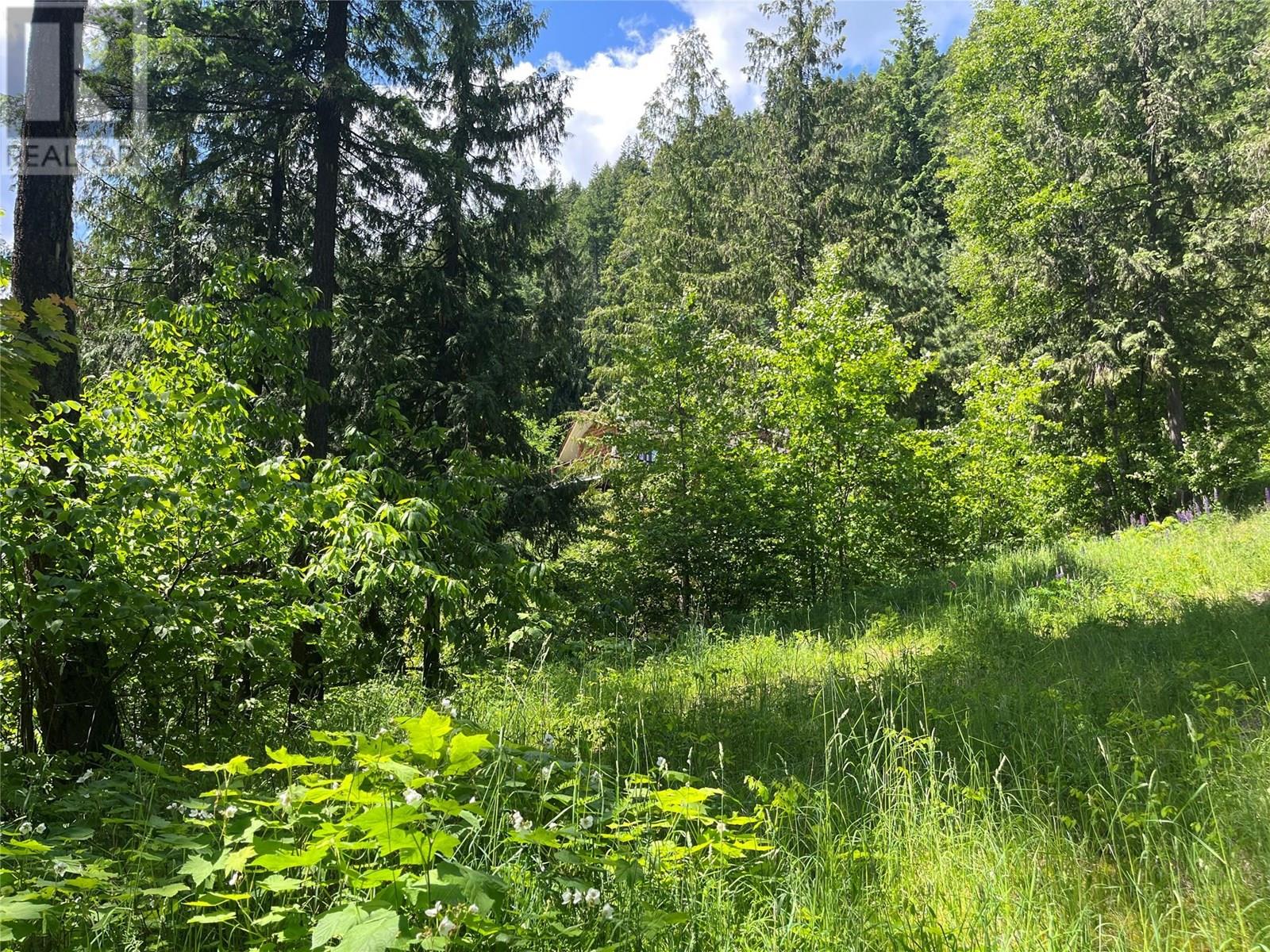 242 9th Street, Kaslo, British Columbia  V0G 1M0 - Photo 53 - 10350911