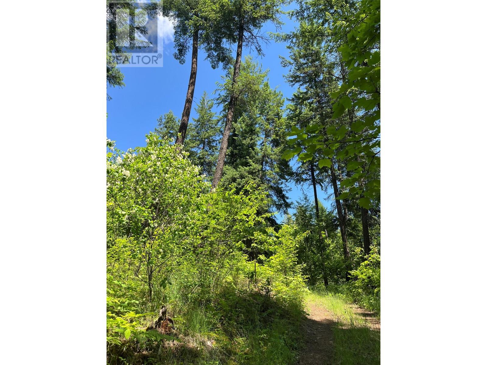 242 9th Street, Kaslo, British Columbia  V0G 1M0 - Photo 54 - 10350911