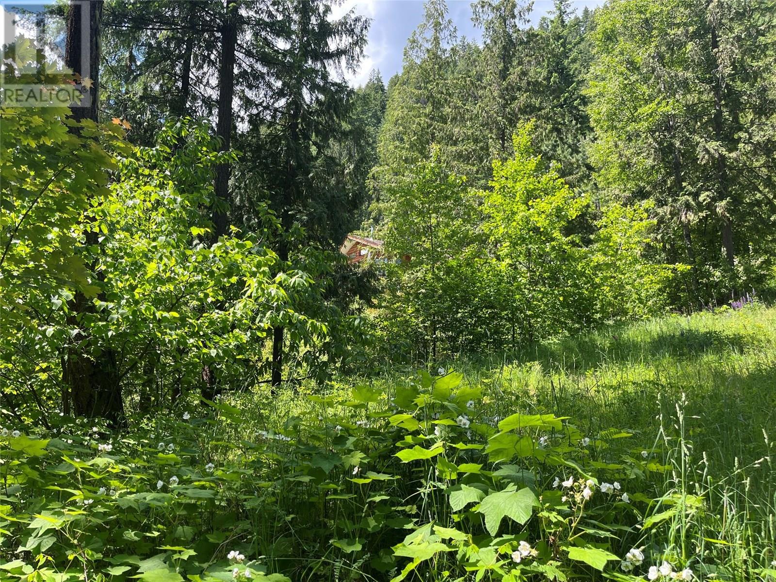 242 9th Street, Kaslo, British Columbia  V0G 1M0 - Photo 61 - 10350911