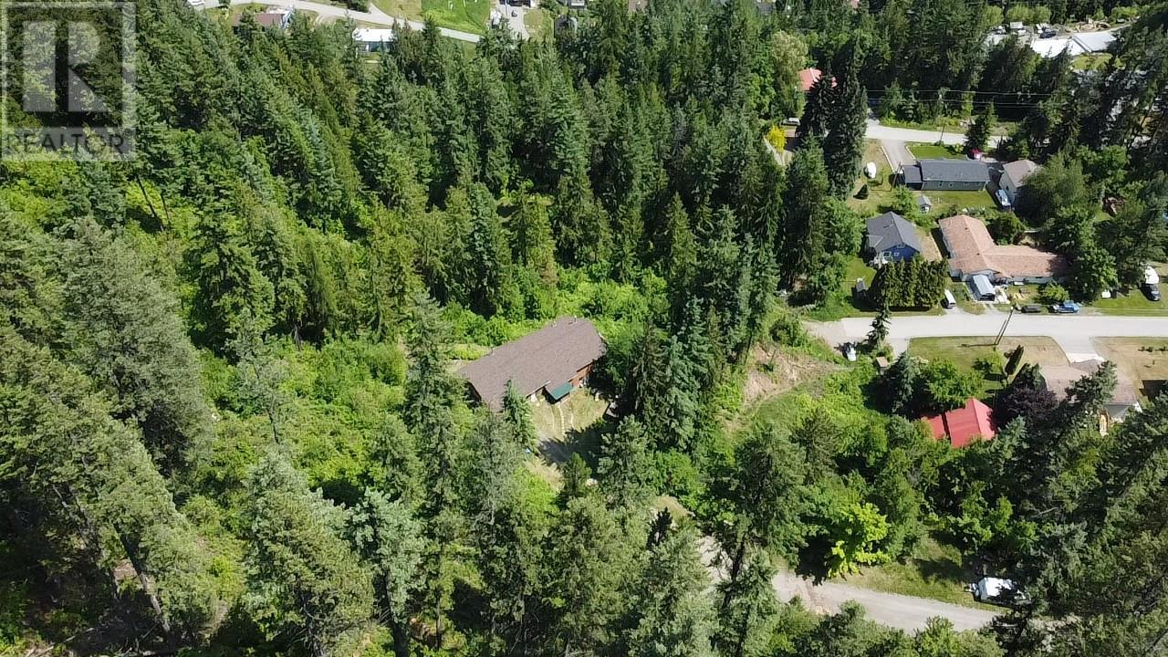 242 9th Street, Kaslo, British Columbia  V0G 1M0 - Photo 64 - 10350911