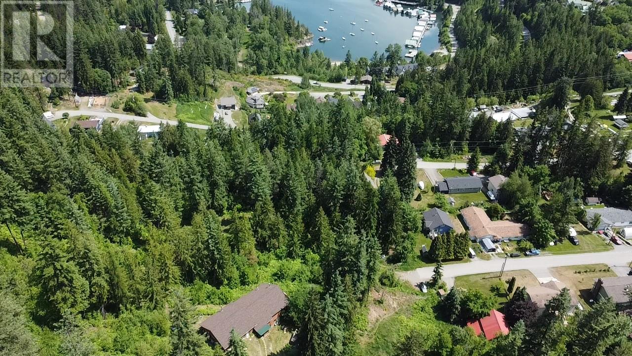 242 9th Street, Kaslo, British Columbia  V0G 1M0 - Photo 65 - 10350911