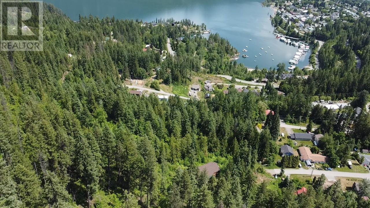 242 9th Street, Kaslo, British Columbia  V0G 1M0 - Photo 66 - 10350911