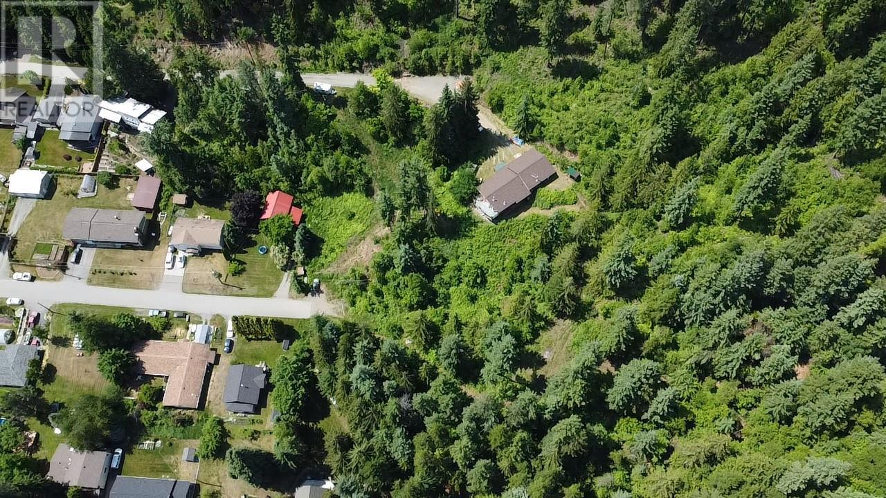 242 9th Street, Kaslo, British Columbia  V0G 1M0 - Photo 67 - 10350911