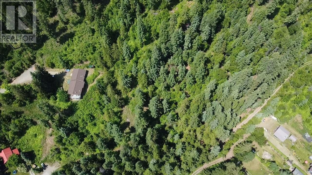 242 9th Street, Kaslo, British Columbia  V0G 1M0 - Photo 68 - 10350911