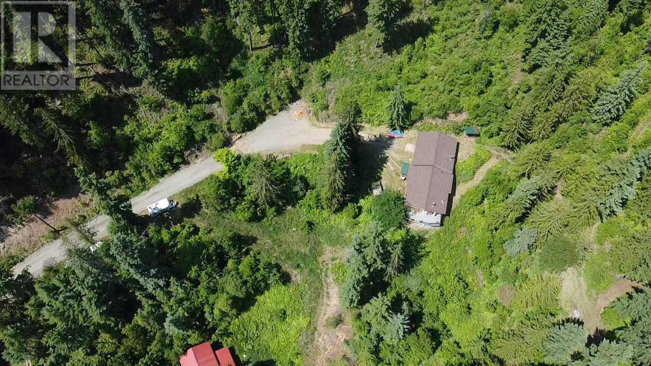 242 9th Street, Kaslo, British Columbia  V0G 1M0 - Photo 69 - 10350911
