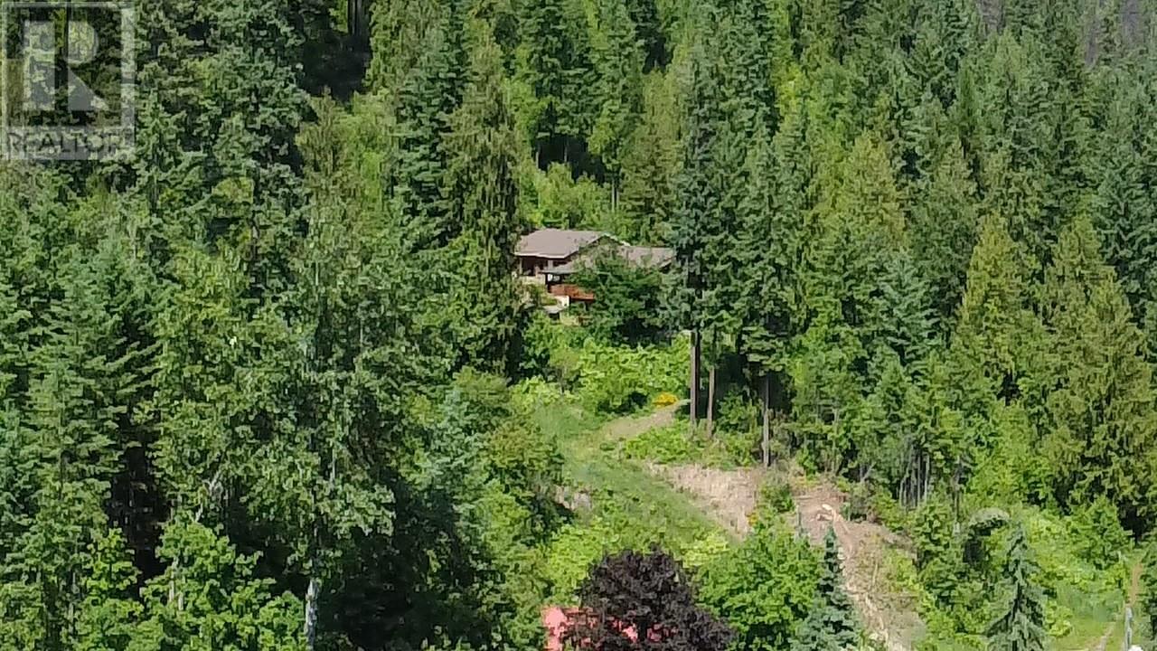 242 9th Street, Kaslo, British Columbia  V0G 1M0 - Photo 71 - 10350911