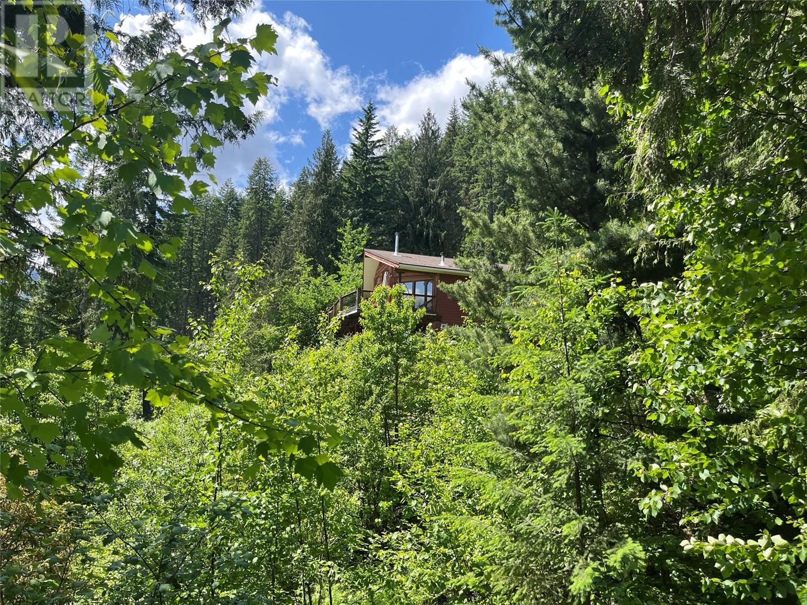 242 9th Street, Kaslo, British Columbia  V0G 1M0 - Photo 9 - 10350911