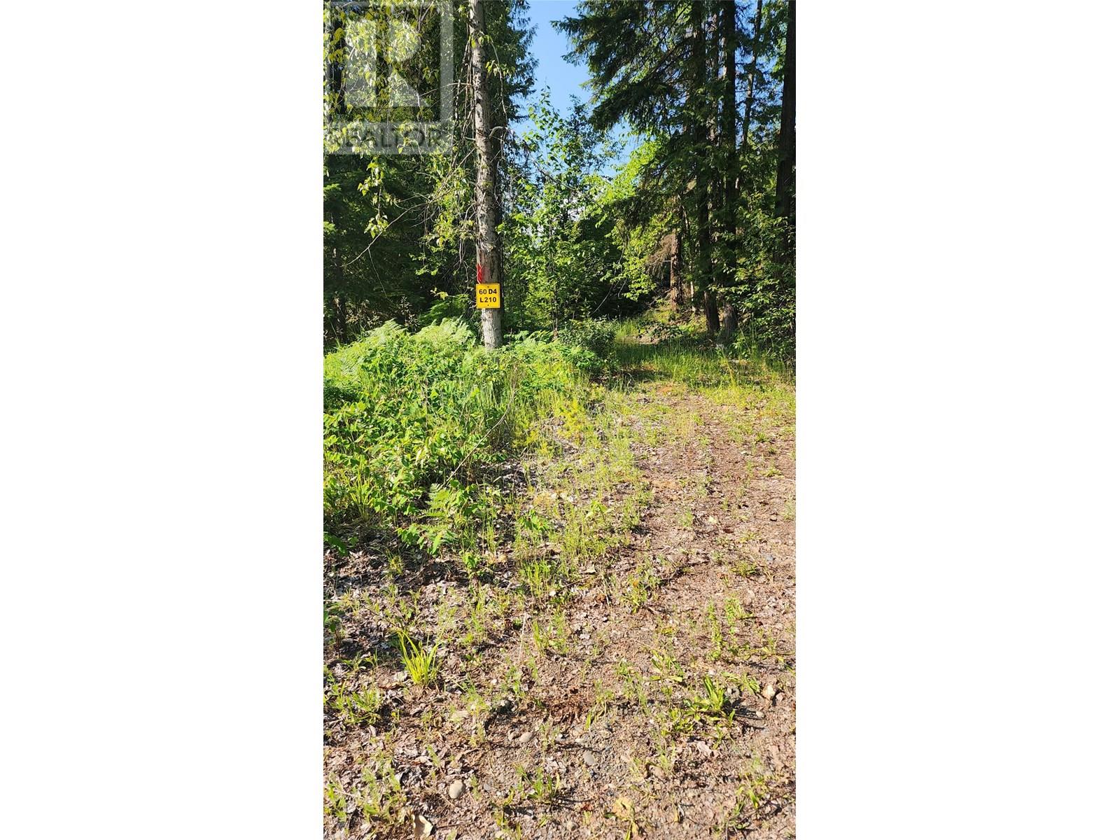 Lot 19 6 Highway, Nakusp, British Columbia  V0G 1R1 - Photo 10 - 10351106