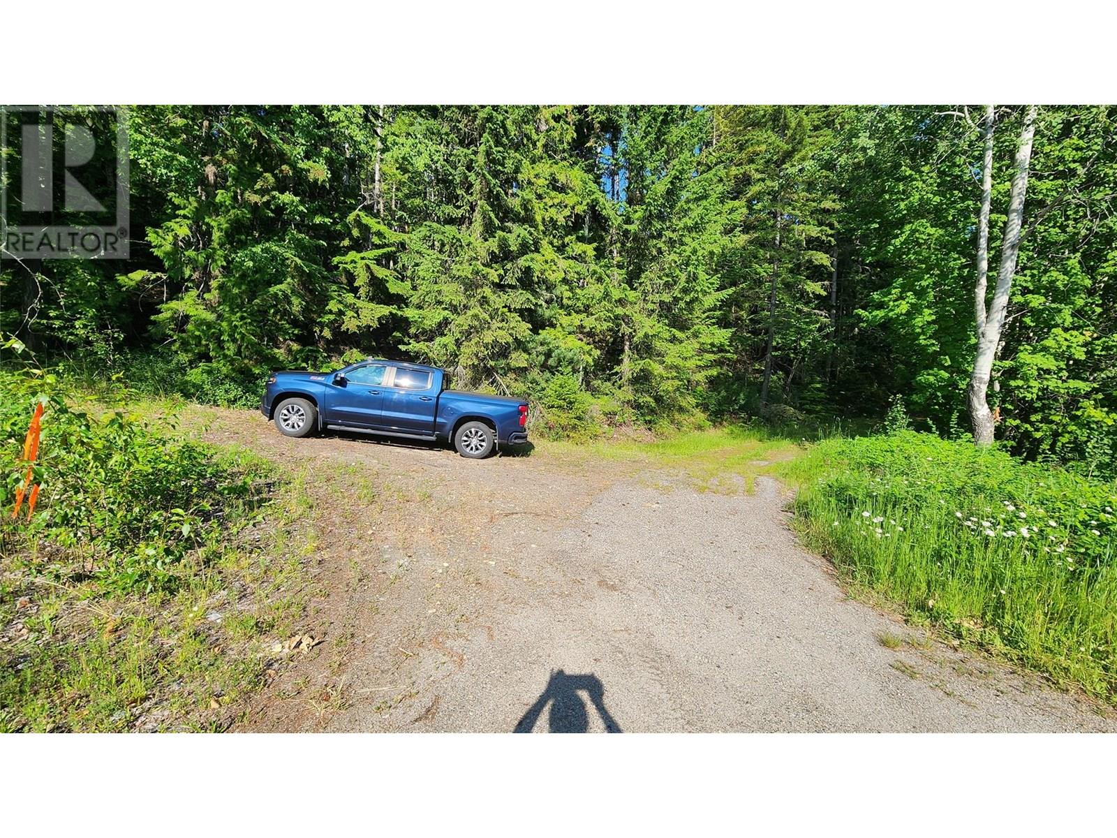 Lot 19 6 Highway, Nakusp, British Columbia  V0G 1R1 - Photo 11 - 10351106