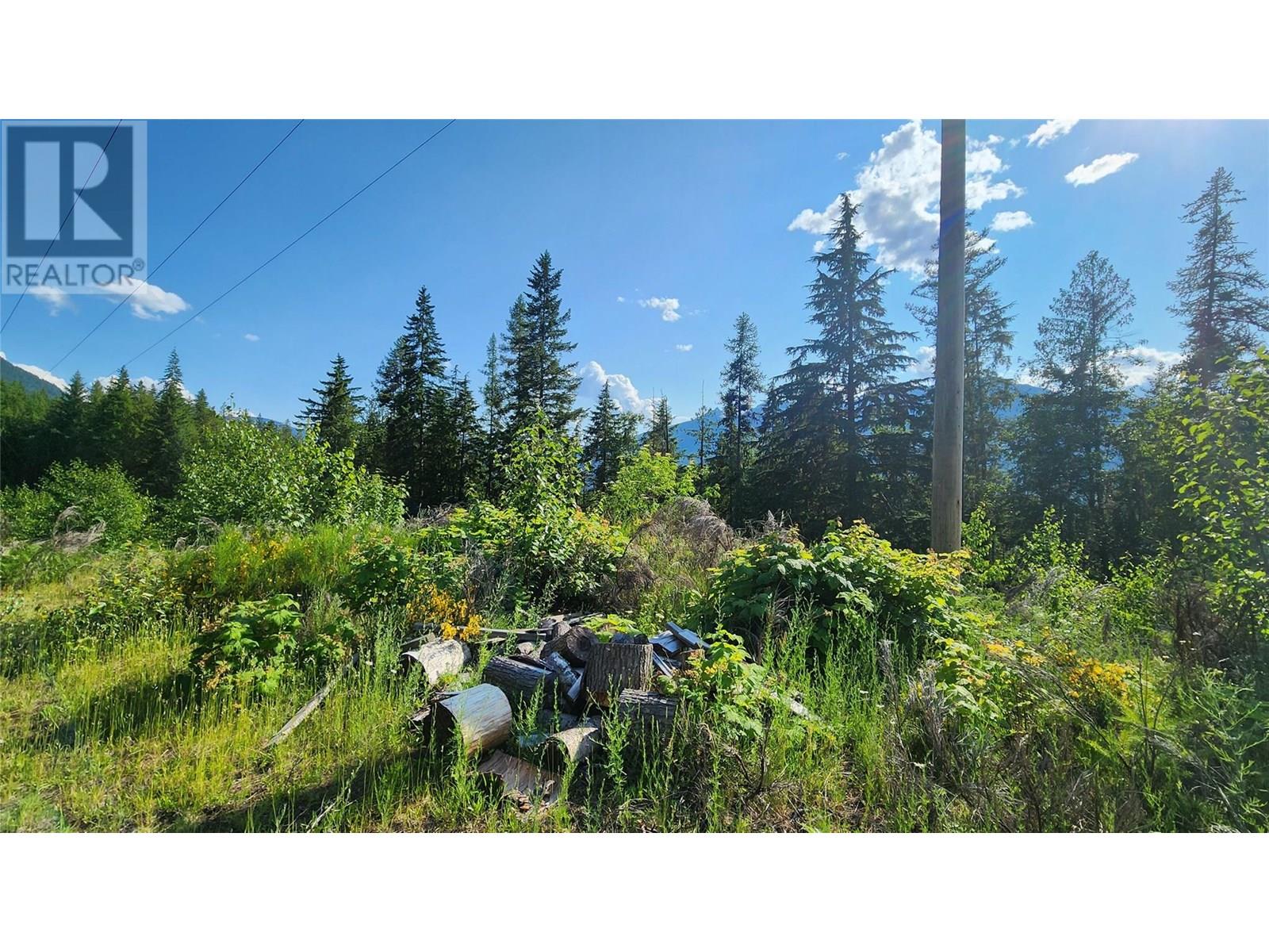 Lot 19 6 Highway, Nakusp, British Columbia  V0G 1R1 - Photo 2 - 10351106