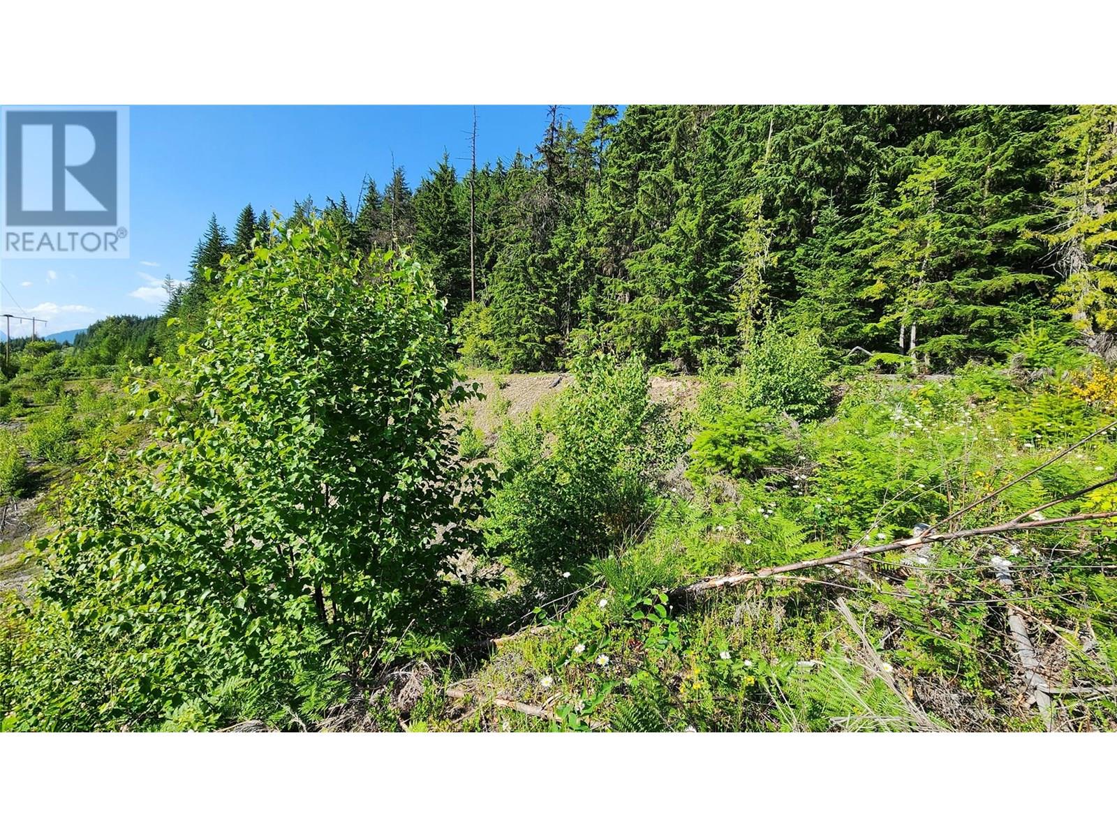 Lot 19 6 Highway, Nakusp, British Columbia  V0G 1R1 - Photo 3 - 10351106