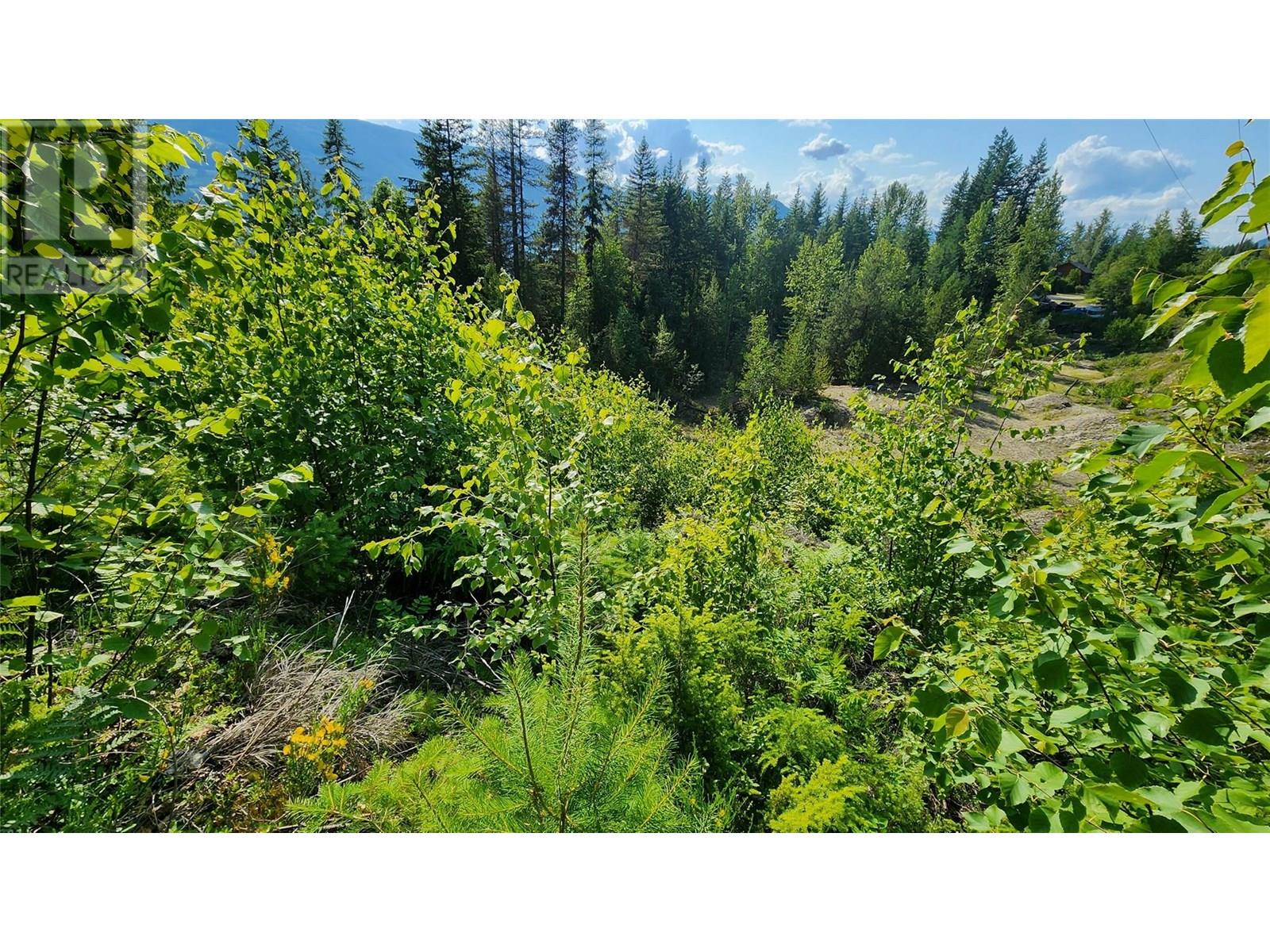 Lot 19 6 Highway, Nakusp, British Columbia  V0G 1R1 - Photo 4 - 10351106