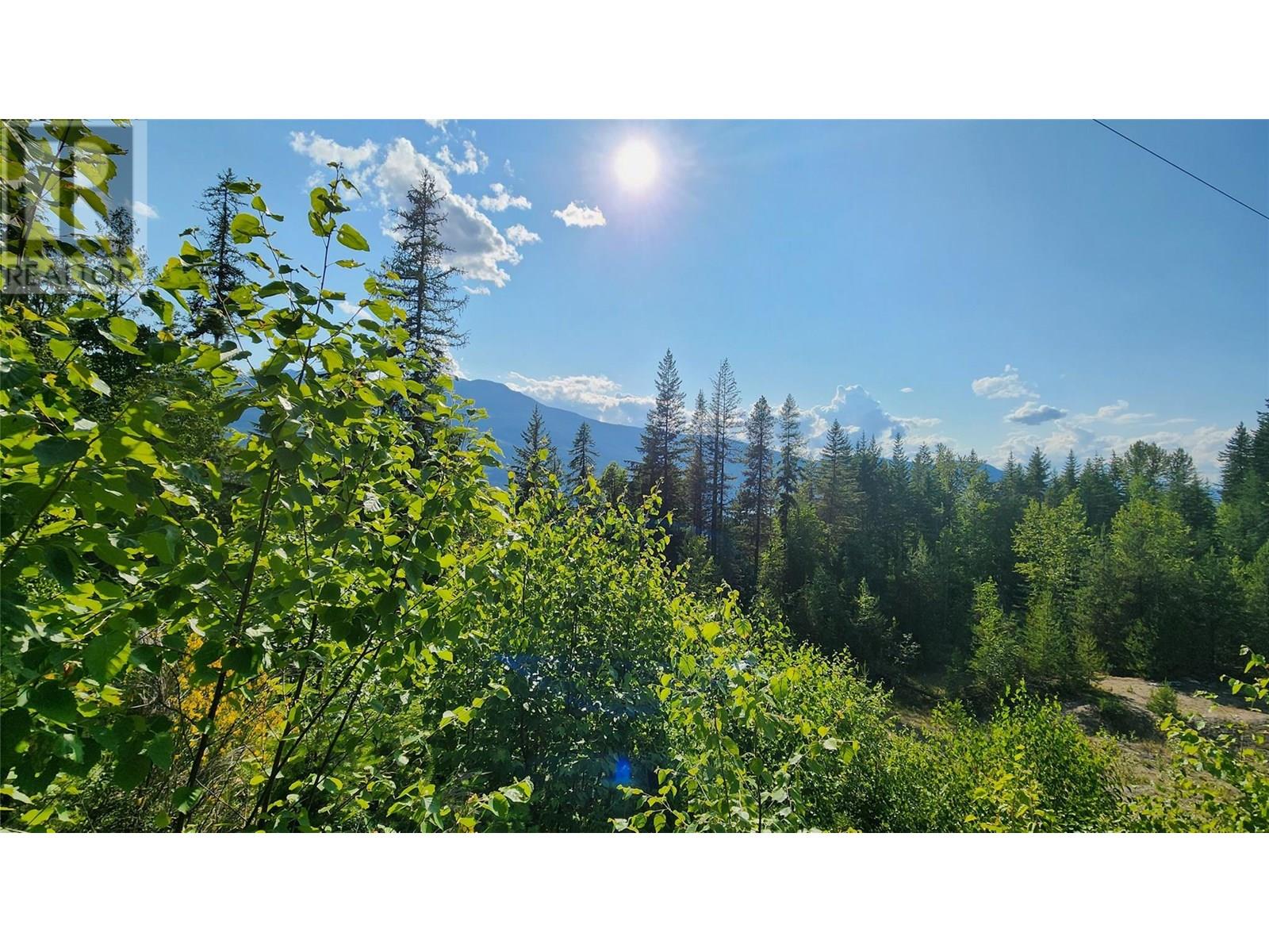 Lot 19 6 Highway, Nakusp, British Columbia  V0G 1R1 - Photo 5 - 10351106