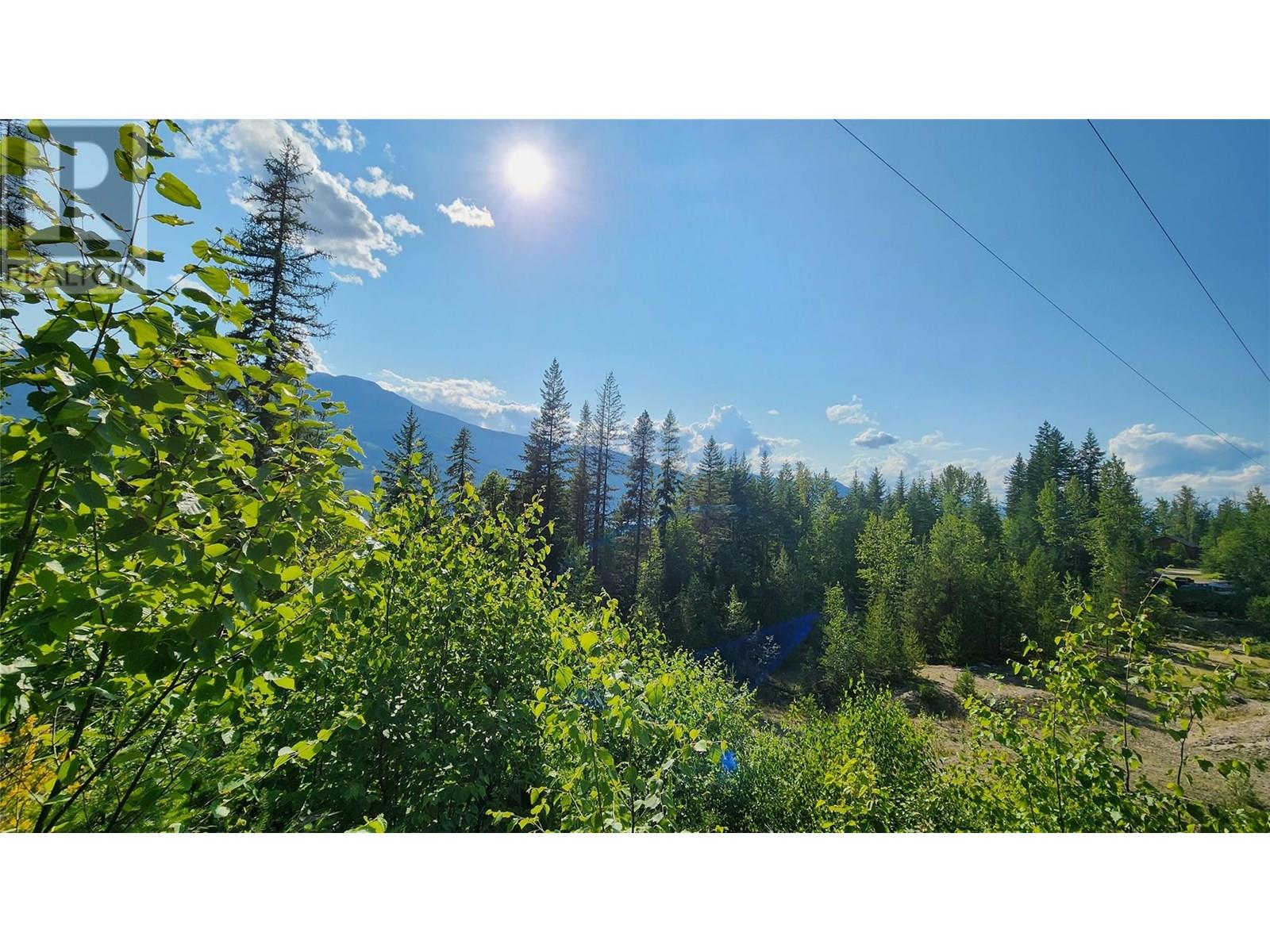 Lot 19 6 Highway, Nakusp, British Columbia  V0G 1R1 - Photo 6 - 10351106