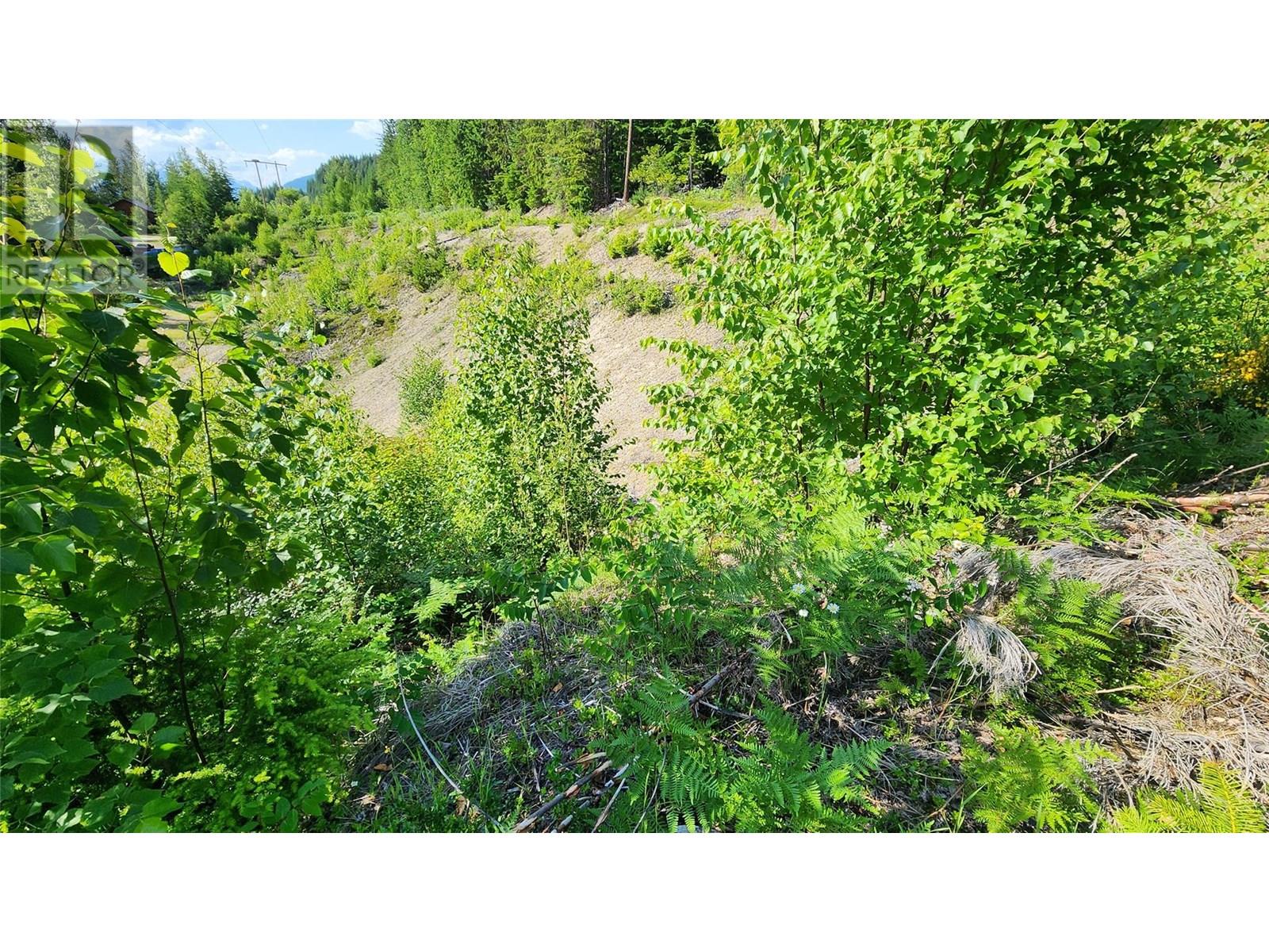 Lot 19 6 Highway, Nakusp, British Columbia  V0G 1R1 - Photo 7 - 10351106