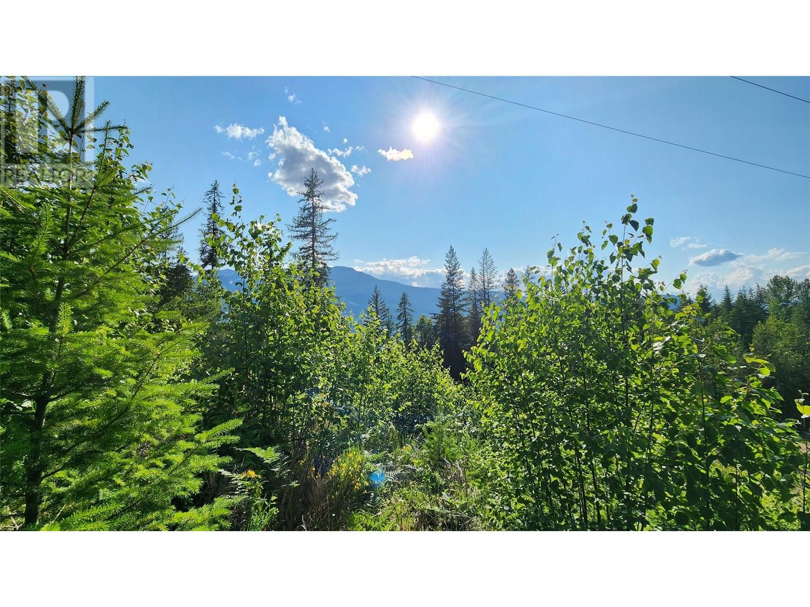 Lot 19 6 Highway, Nakusp, British Columbia  V0G 1R1 - Photo 8 - 10351106