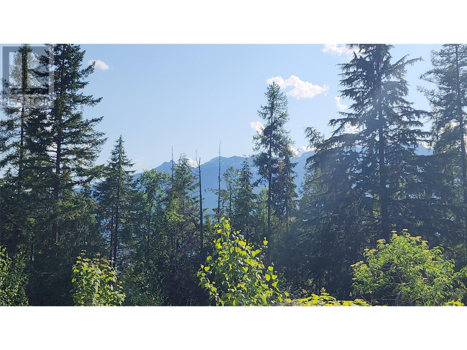 Lot 19 6 Highway, Nakusp, British Columbia  V0G 1R1 - Photo 9 - 10351106