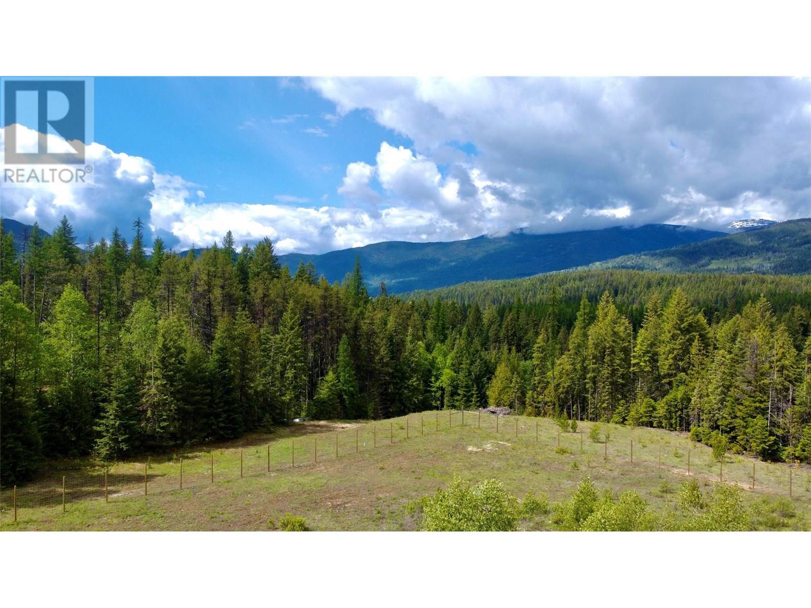 2707 Pass Creek Road, Krestova, British Columbia  V0G 1H2 - Photo 1 - 10350656